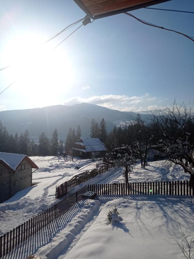 Сімейний Котедж Краєвид Mykulychyn Extérieur photo