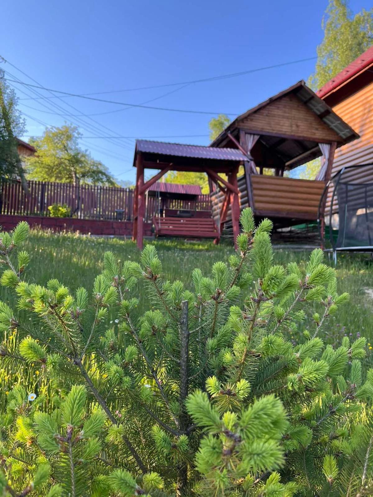 Сімейний Котедж Краєвид Mykulychyn Extérieur photo