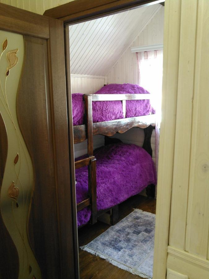 Сімейний Котедж Краєвид Mykulychyn Extérieur photo
