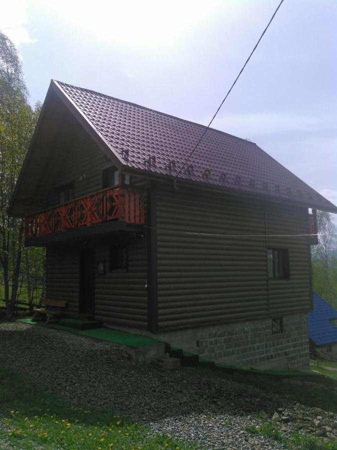 Сімейний Котедж Краєвид Mykulychyn Extérieur photo